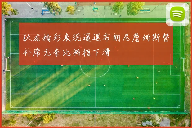 狄龙精彩表现逼退布朗尼詹姆斯替补席无奈比拇指下滑