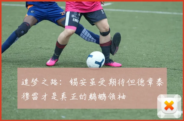 追梦之路：锡安虽受期待但德章泰穆雷才是真正的鹈鹕领袖