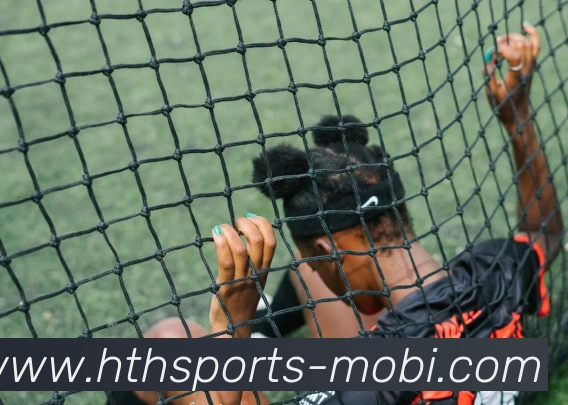 华体会体育APP 封面图